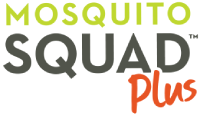 Mosquito Squad